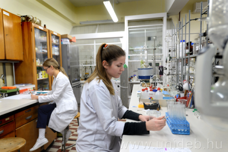 Labormunka a DE GYTK-n