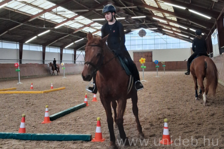 Nyílt nap a Lovasakadémián