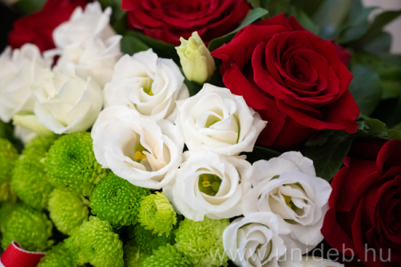 március 15-i ünnepség