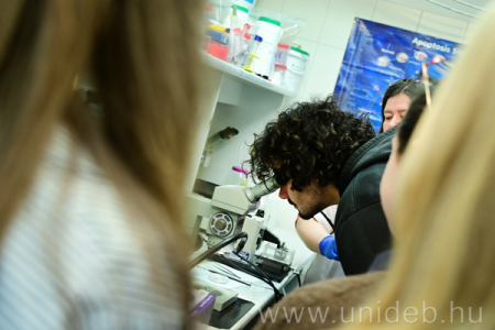 Az emberi elme rejtélyei – Agykutatás Hete a Debreceni Egyetemen