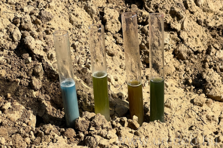 Talaj a talpad alatt 2026. 