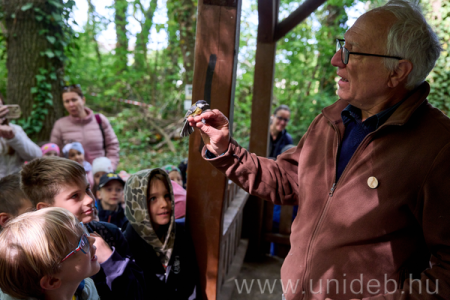 Madárbarát mintakert 2026.