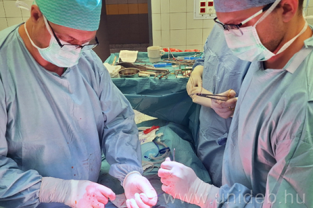 35 éves a debreceni veseátültetési program: eredmények és jövőkép