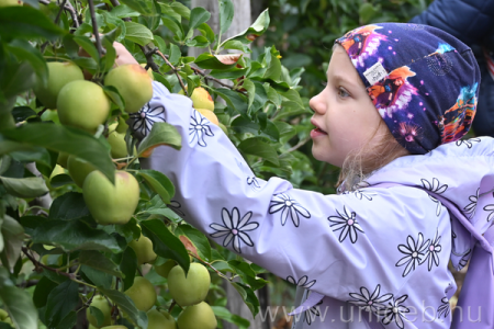 Almaültetvény UD Agrár 2026. 